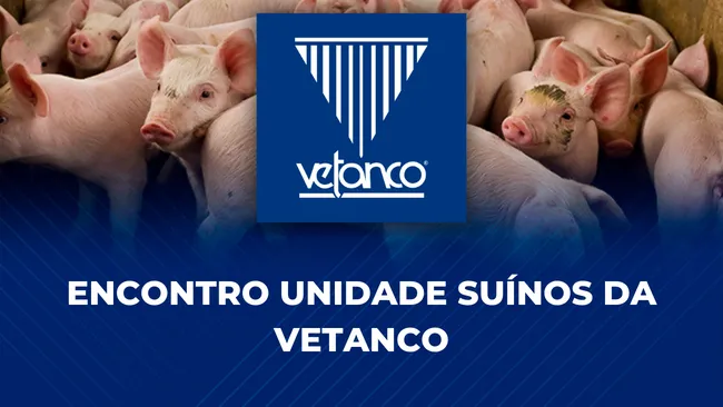 Unidade de Suínos da Vetanco inicia 2023 com imersão em conhecimento e experiências