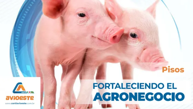 Equipos para porcicultura | Pisos porcinos