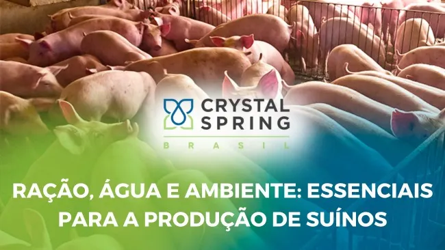 Benefícios dos Comedouros Secos/Úmidos em um Sistema de Creche