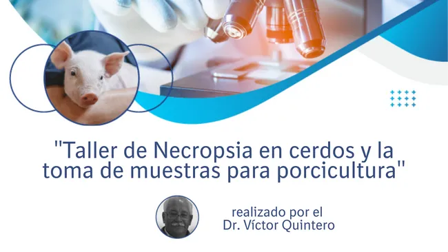 Taller de Necropsia y toma de muestras para porcicultura a cargo del Dr. Víctor Quintero