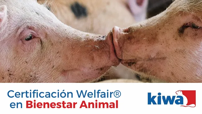 Certificación Welfair® en Bienestar Animal