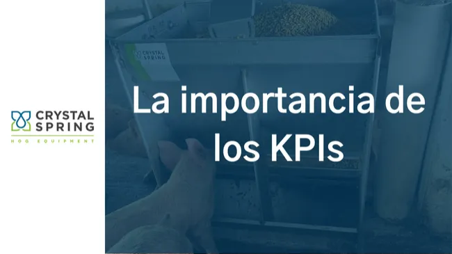 ¿Son realmente tan importantes los KPIs? 