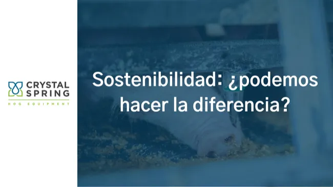 Sostenibilidad: ¿podemos hacer la diferencia?