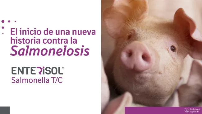 Descubre el sitio web de Enterisol Salmonella T/C