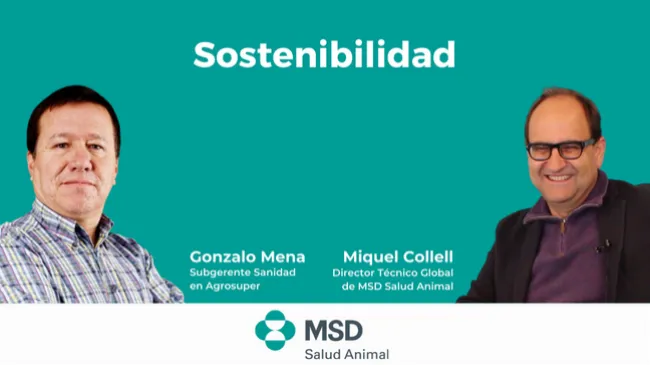 MSD Salud Animal presenta una nueva Sesión de Coaching de IPVS 2022