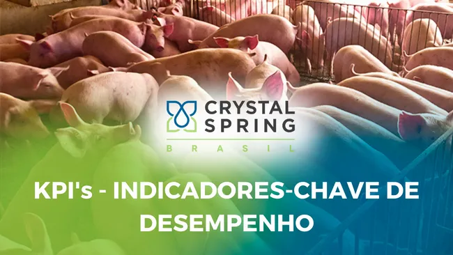 Os KPIs são realmente tão importantes?