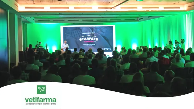 Lanzamiento de la nueva línea premium para sitio 3