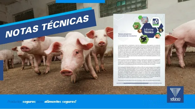 Nuevas perspectivas en el control de micotoxinas