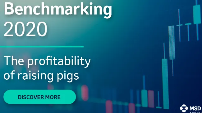 Reviewing the Cost of Raising Pigs: A Benchmark Compilation