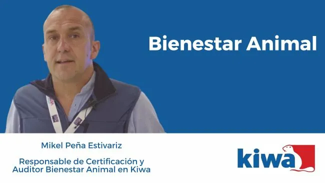 Evaluación del Bienestar Animal en sistemas productivos porcinos, con Mikel Peña
