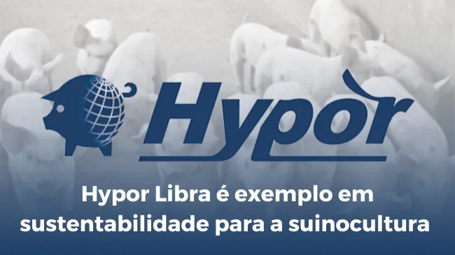 Hypor Libra: longevidade, capacidade de desmame e eficiência reprodutiva