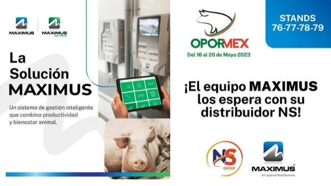 MAXIMUS se enorgullece de anunciar la asociación con NS Group