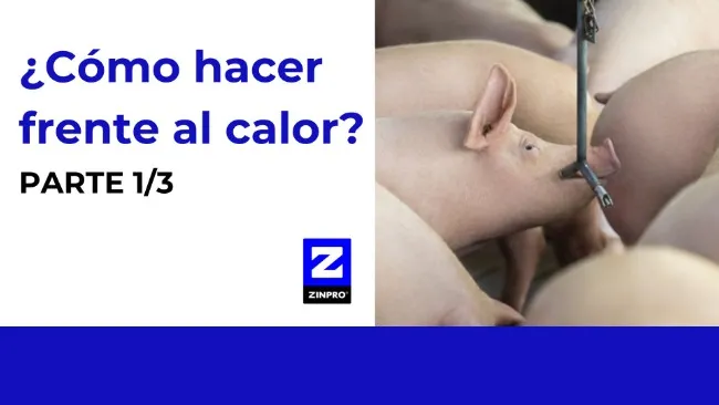 ¿Cómo hacer frente al calor? Parte 1