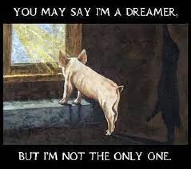 EL TRABAJO DE MIS SUEÑOS