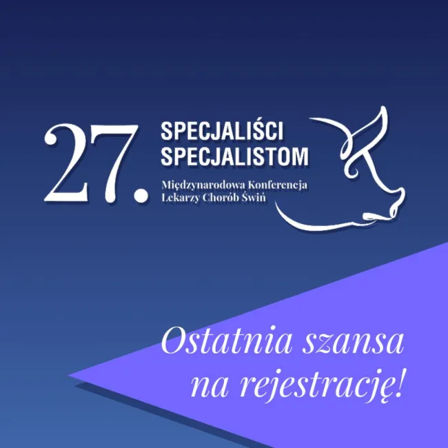 !OSTATNIE WOLNE MIEJSCA!