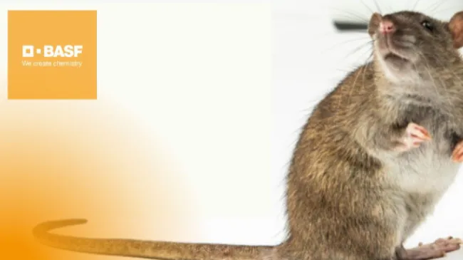 Chapter 2: BASF tips for rodent control