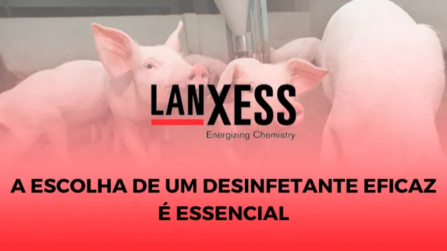 Limpeza e desinfecção de instalações suínas como estratégia na prevenção de doenças