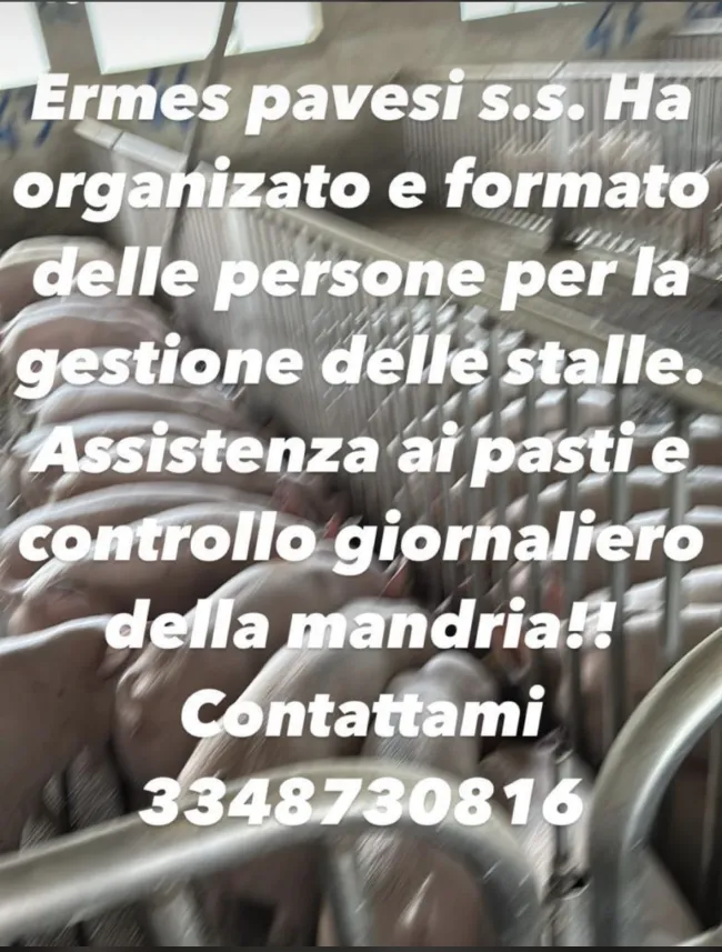 Da alcuni anni dopo un attenta e accurata formazione del personale dis...