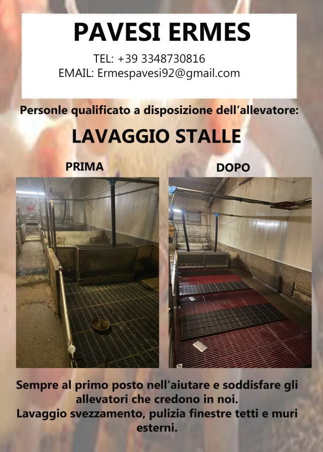 Lavaggio stalle è il nostro cavallo di battaglia 