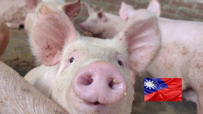  Où en est la production porcine à Taïwan ?