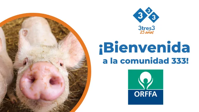 Orffa se une a la comunidad porcina de 333