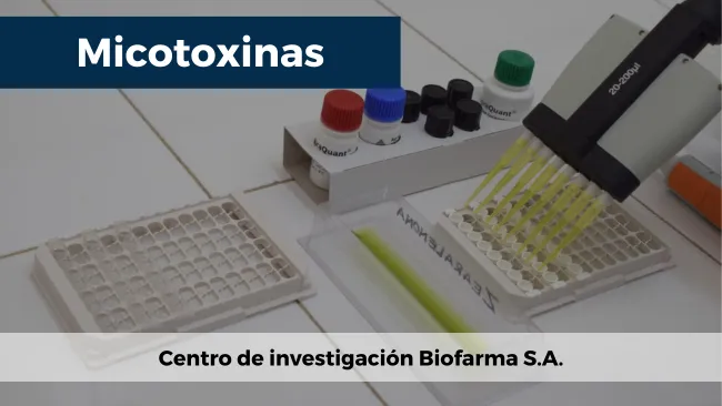 Micotoxinas: prevalencia en las materias primas más usadas de la producción porcina argentina