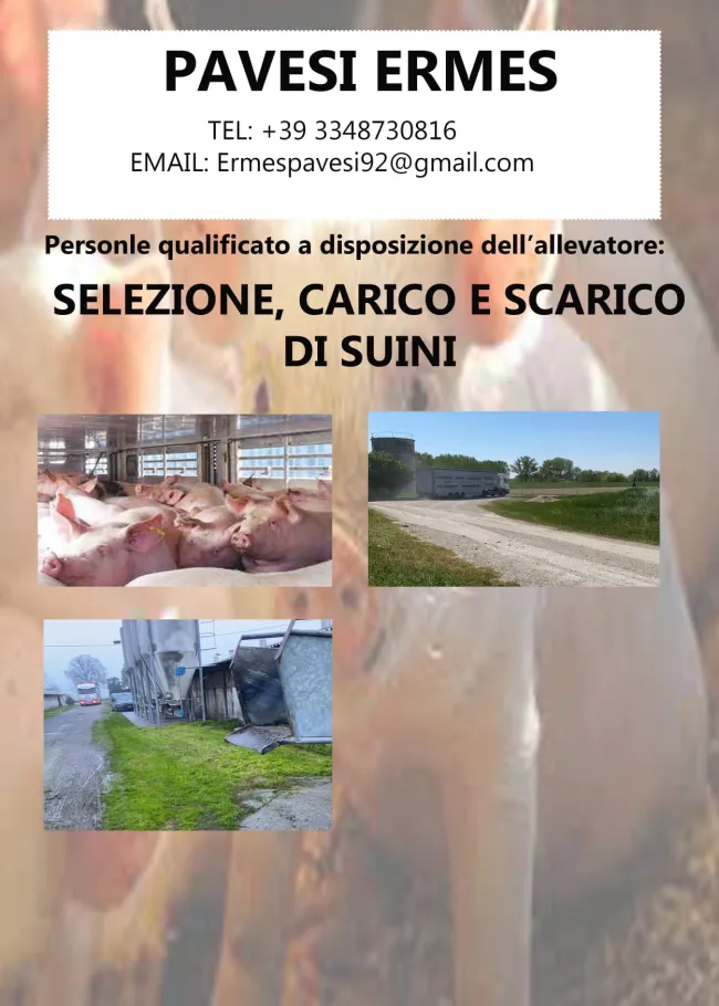 Le nostre squadre di carico sono a vostra disposizione lattoni grassi ...