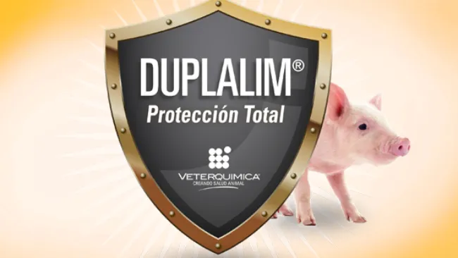 Eficacia de Duplalim frente a los virus de la Peste Porcina Africana y del Valle del Seneca