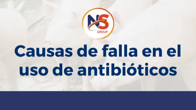 Causas de falla en el uso de antibióticos