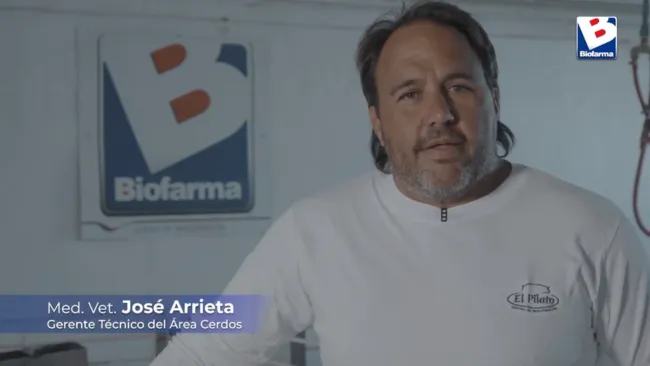 [Cápsula] Importancia del uso de aminoácidos en dietas de engorde