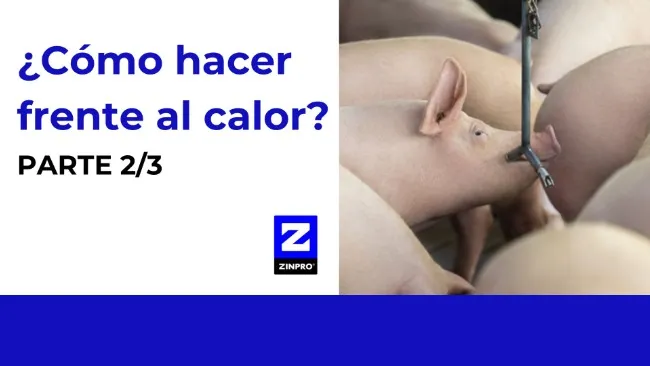 ¿Cómo hacer frente al calor? Parte 2