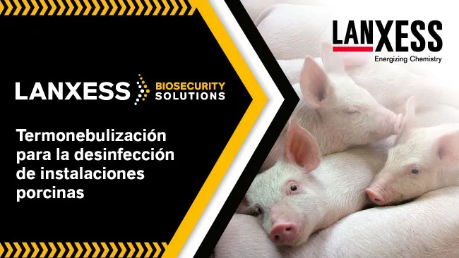 Utilización de termonebulización para la desinfección de instalaciones porcinas