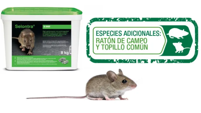 Selontra®: producto autorizado para combatir el ratón de campo y topillo común