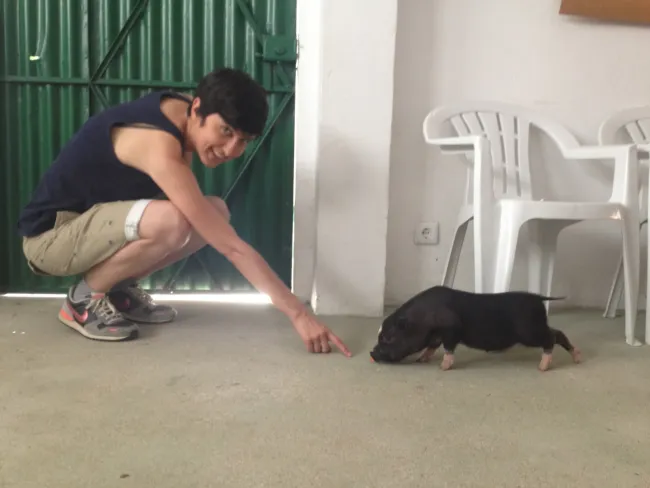 Murcela aprendiendo trucos
