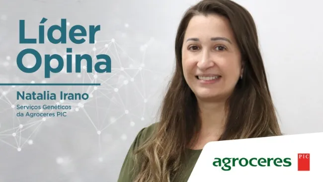 Líder Opina: Importância de manter a atualização genética nas granjas