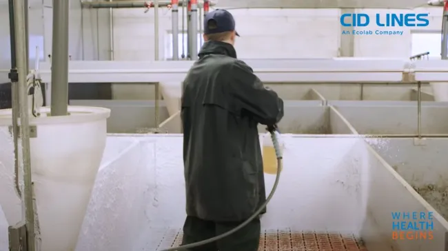 Using water is not enough to efficiently clean. Using a detergent is k...