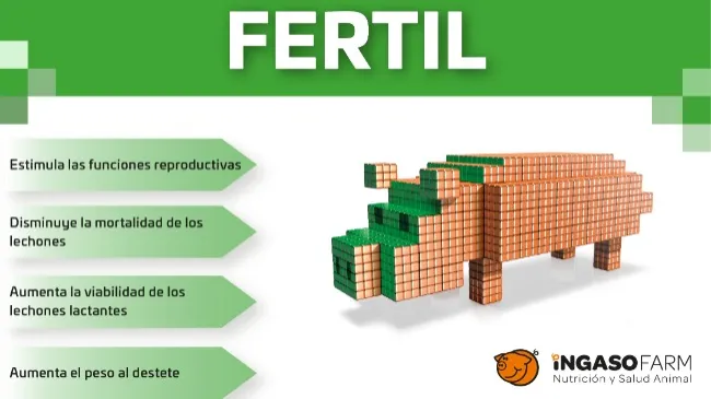 ☀Ya es hora de un verano #Fertil en tu granja!🐖 ☀#VeranoIngaso