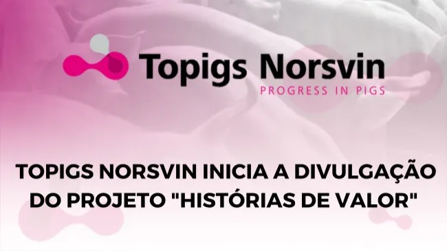 Profissionais da suinocultura ganham visibilidade por meio de novo projeto da Topigs Norsvin