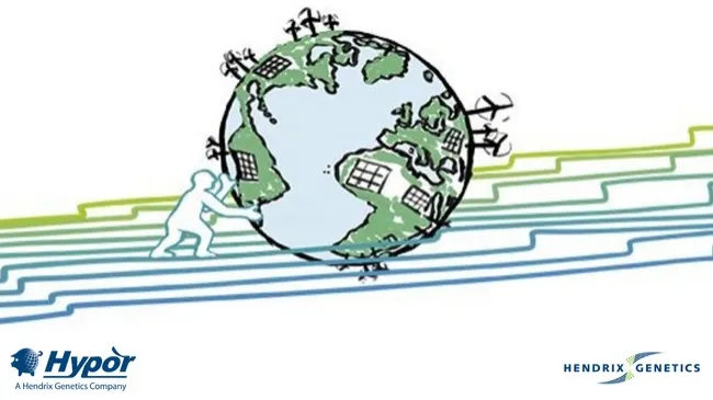 Os efeitos de 2% de progresso genético