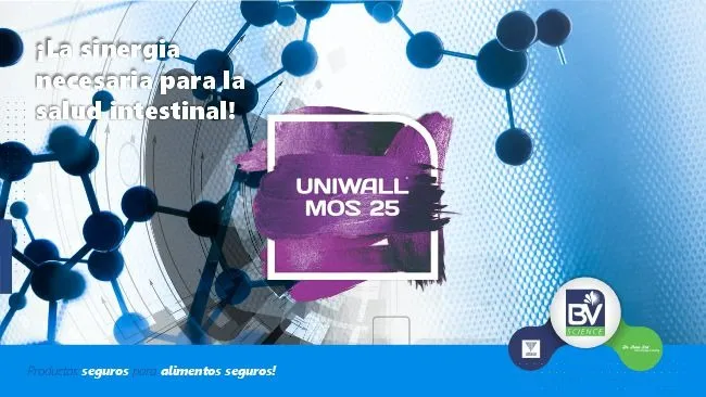 Evaluación del rendimiento zootécnico y la salud intestinal de lechones de recría sometidos a diferentes concentraciones de Uniwall MOS® 25