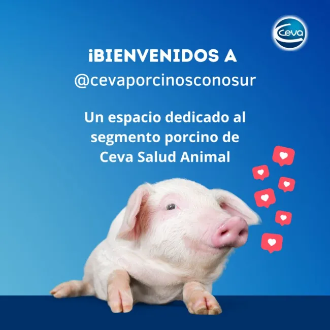¡Le damos la bienvenida a nuestra nueva cuenta de Instagram! Un nuevo...