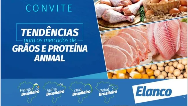 Tendências para os mercados de grãos e proteína animal 