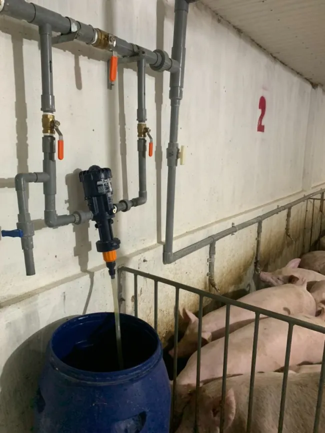 Máy pha thuốc thú y Mixtron là thiết bị tự động hút và...