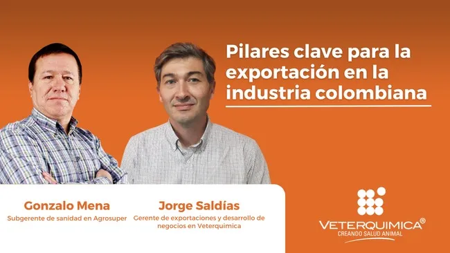 4 pilares claves para la exportación de la carne de cerdo colombiana