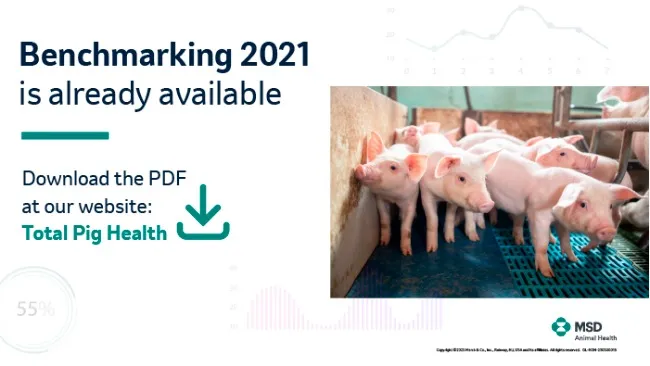 Swine Benchmark 2021 is now available!