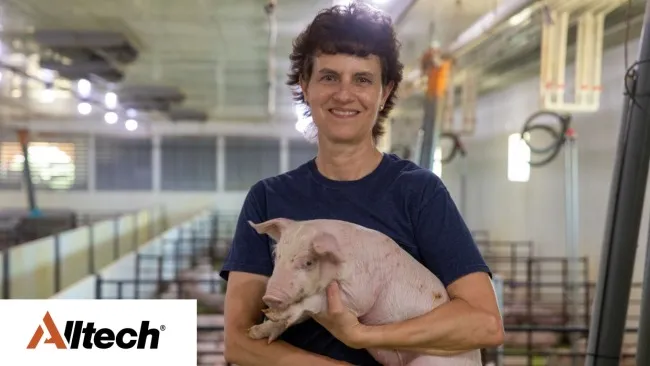 La producción porcina ecológica trae oportunidades de crecimiento
