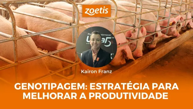 Genotipagem como método de diagnóstico na suinocultura
