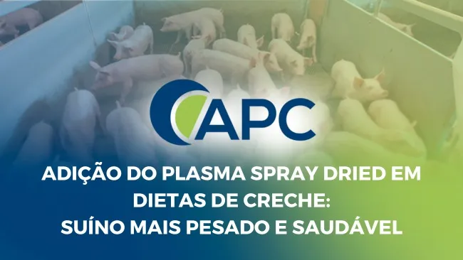 O Plasma Spray Dried é um ingrediente com qualidade superior a outras fontes proteicas em dietas  de leitões de creche
