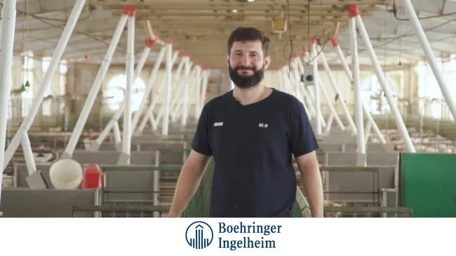 Experiencia de BLD AGRO con Enterisol® Ileítis