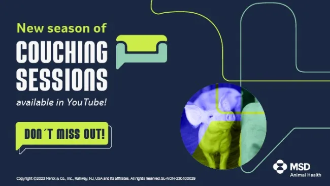 New episodes of The Couching Sessions are now available!